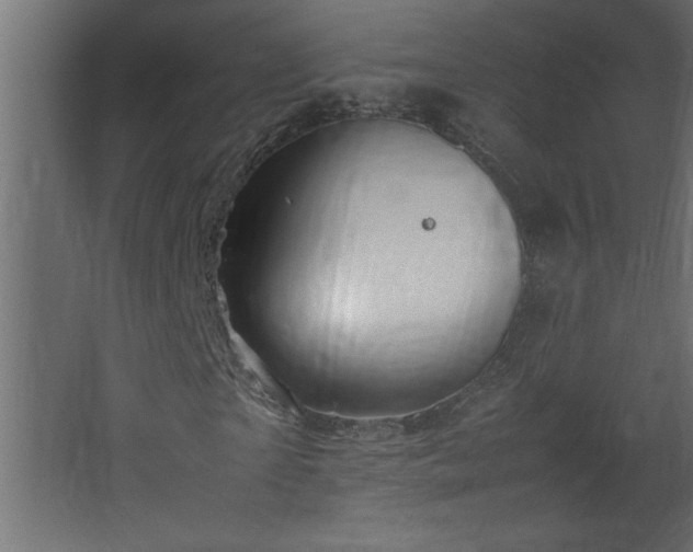 X0000067910865200604201402