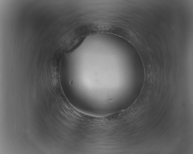 X0000067910866200604201402