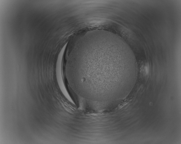 X0000067910868200604201402