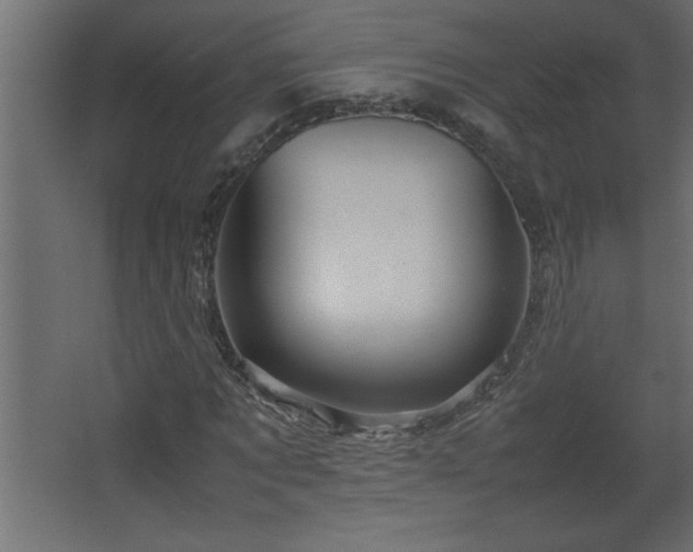 X0000067910869200604201402