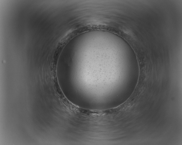 X0000067910870200604201402