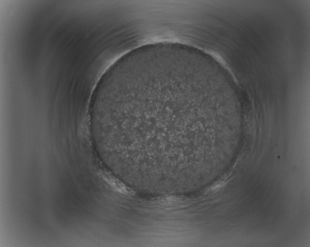 X0000067910879200604201402