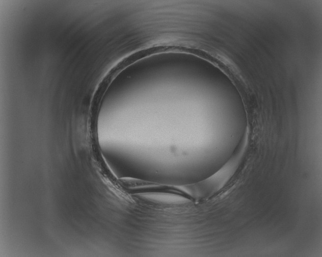 X0000067910880200604201401