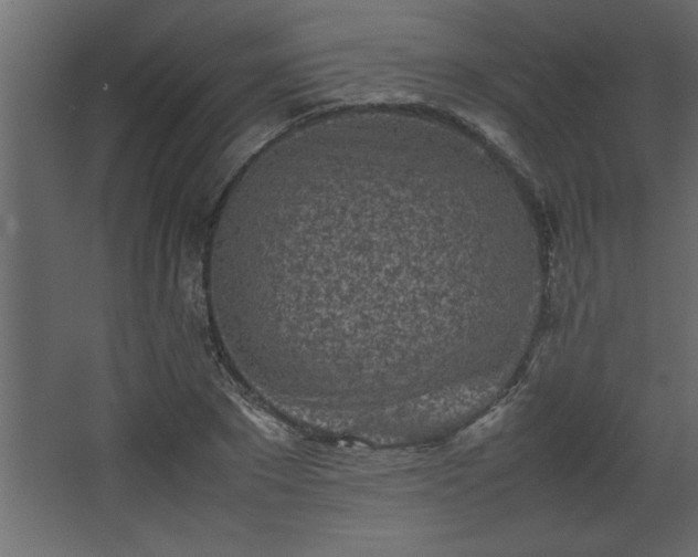 X0000067910881200604201401