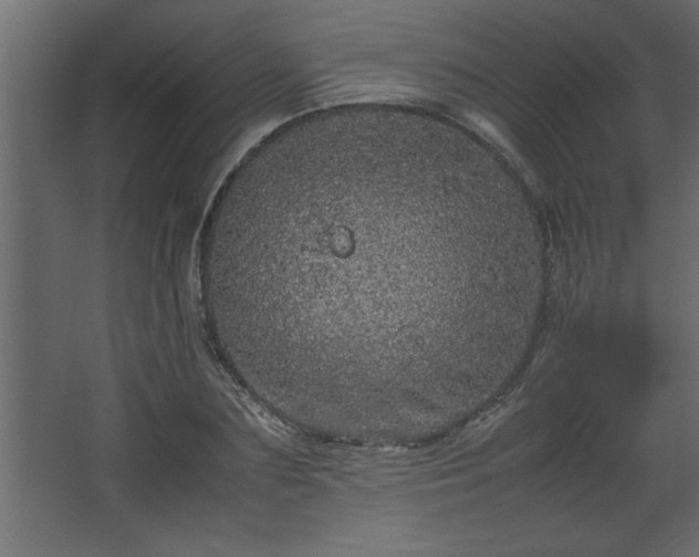 X0000067910883200604201401