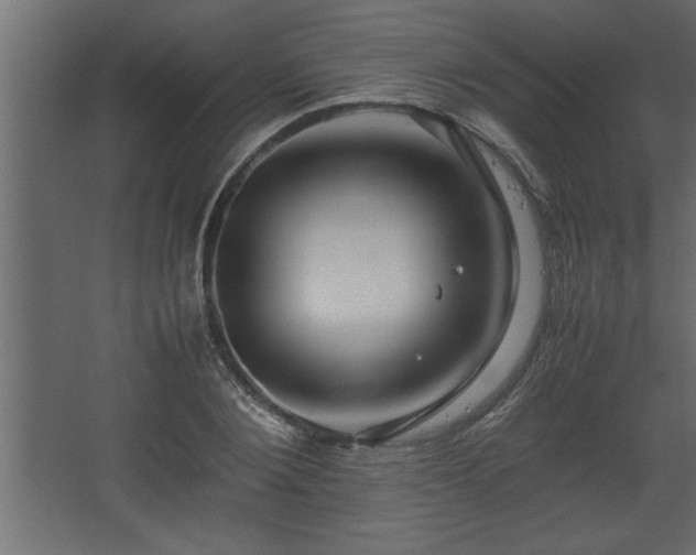 X0000067910884200604201401