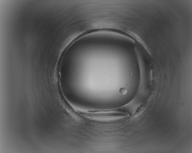 X0000067910885200604201401