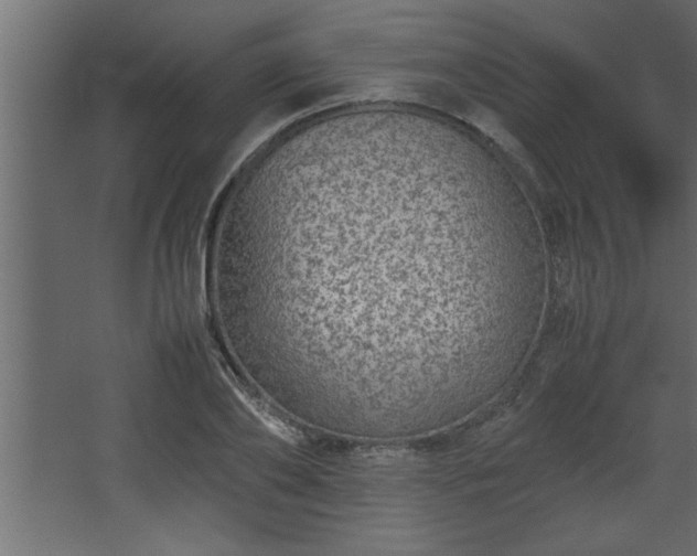 X0000067910886200604201401