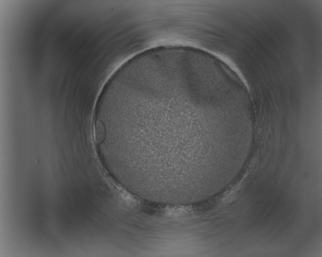 X0000067910887200604201401