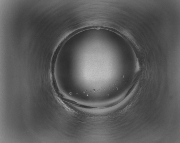 X0000067910888200604201401