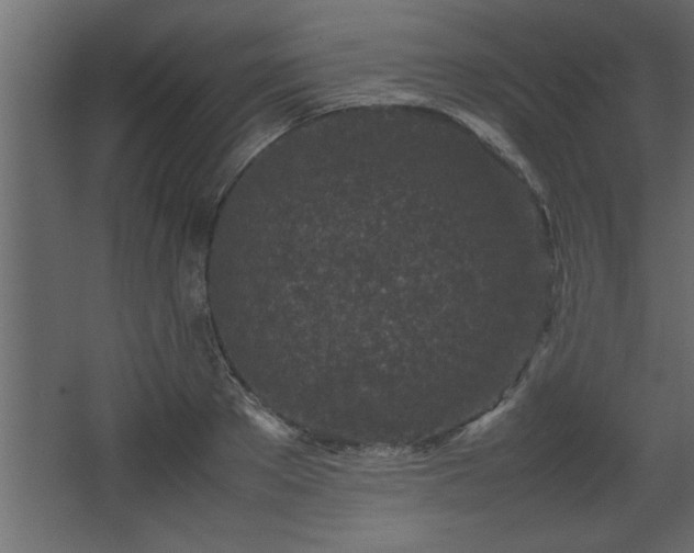 X0000067910889200604201401