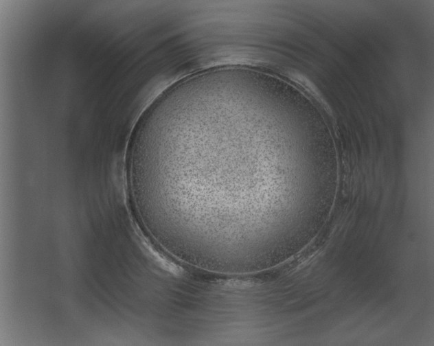 X0000067910890200604201401