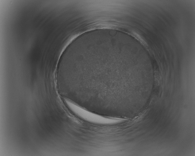 X0000067910891200604201401