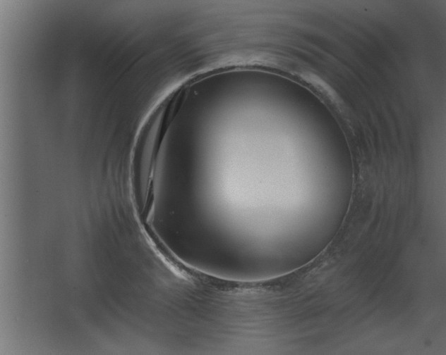 X0000067910894200604201401