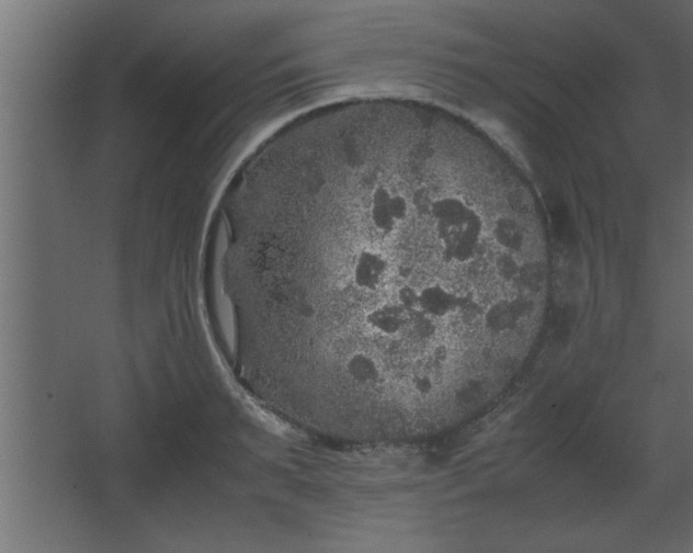 X0000067910895200604201401