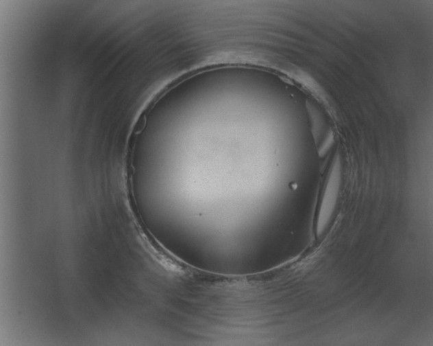 X0000067910896200604201401