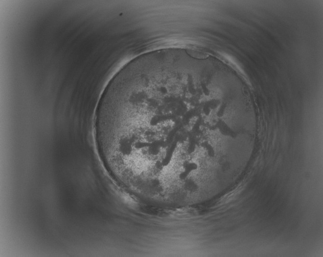 X0000067910899200604201401