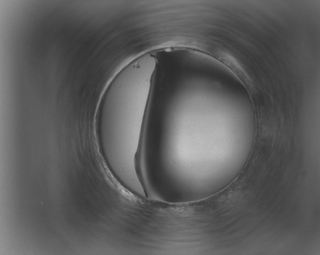 X0000067910900200604201401