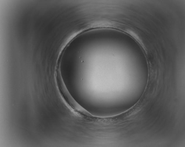 X0000067910901200604201401