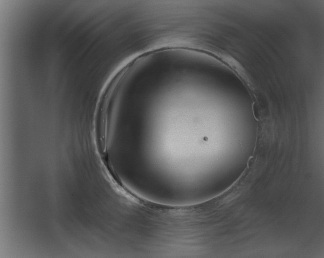 X0000067910904200604201401