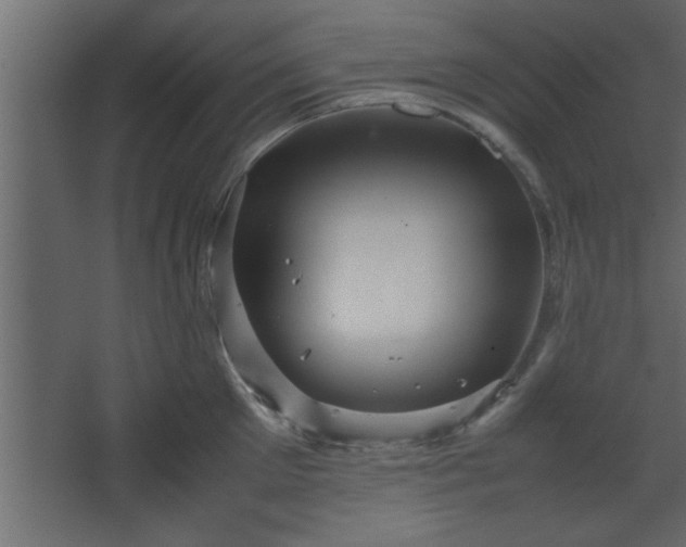 X0000067910905200604201401