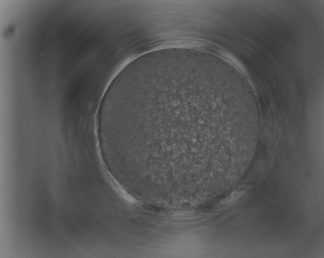 X0000067910907200604201401