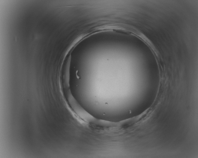 X0000067910909200604201401