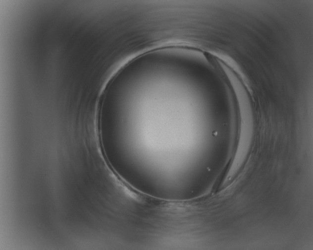 X0000067910910200604201401