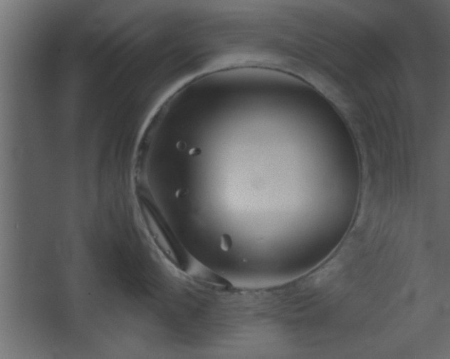 X0000067910912200604201401