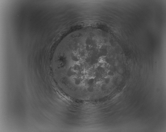 X0000067910913200604201400