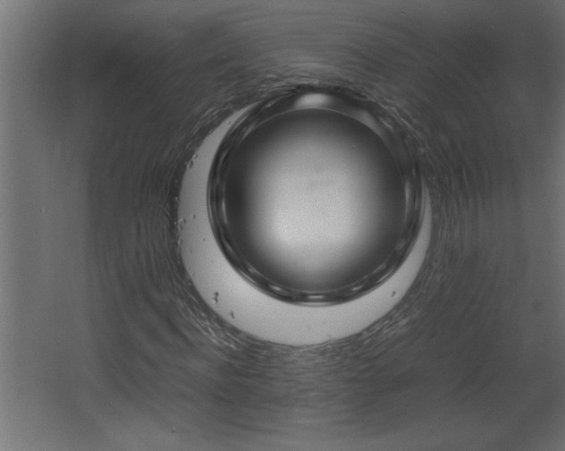 X0000067910916200604201400