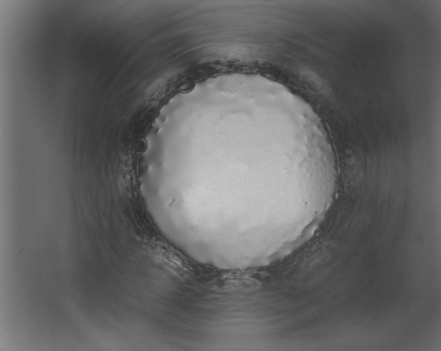 X0000067910918200604201400