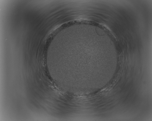 X0000067910919200604201400