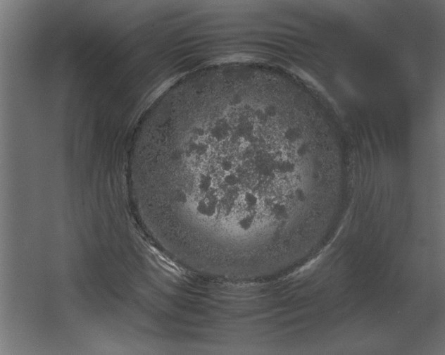 X0000067910921200604201400