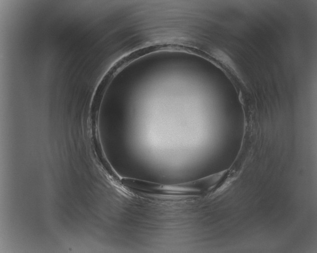 X0000067910924200604201400