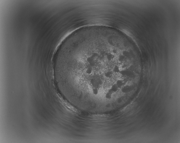 X0000067910925200604201400