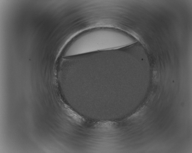 X0000067910926200604201400