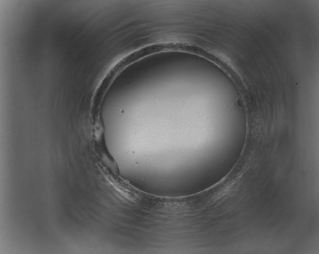 X0000067910927200604201400