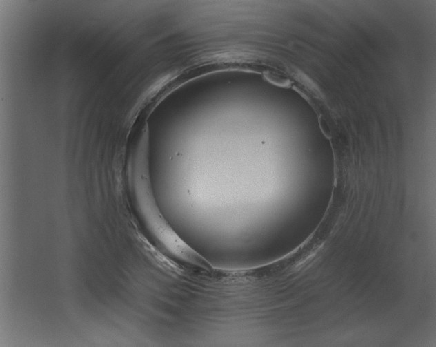 X0000067910930200604201400