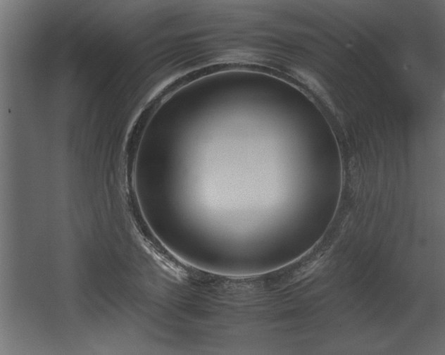 X0000067910931200604201400