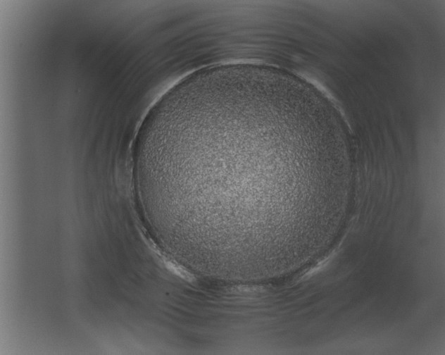 X0000067910933200604201400