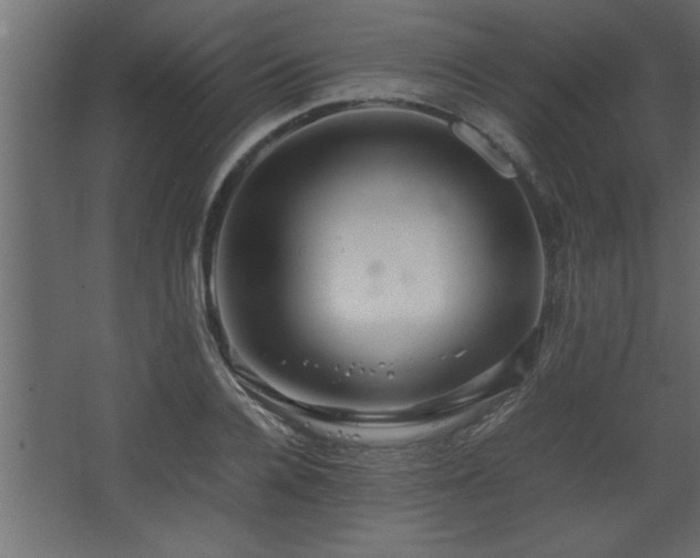 X0000067910936200604201401