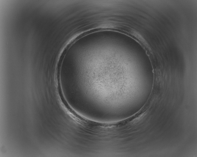 X0000067910939200604201401