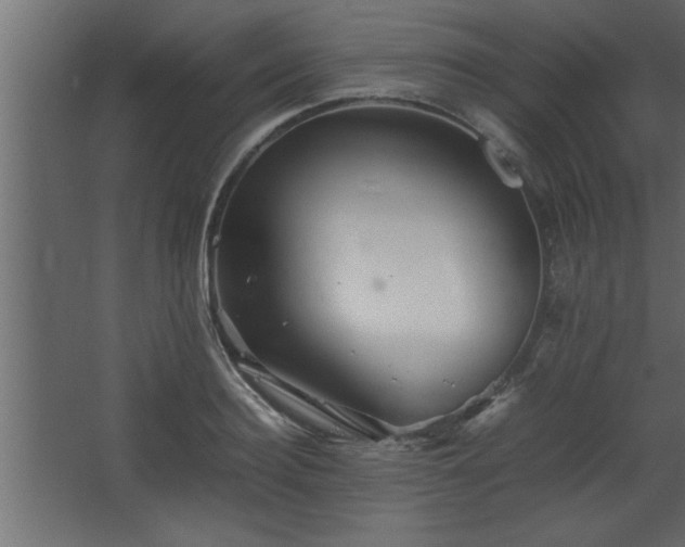 X0000067910940200604201401