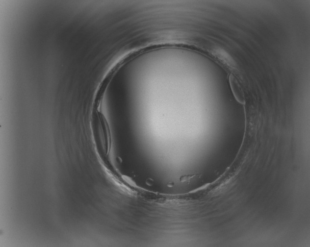 X0000067910942200604201401