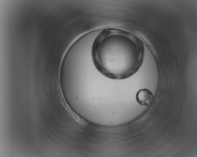 X0000067910948200604201401