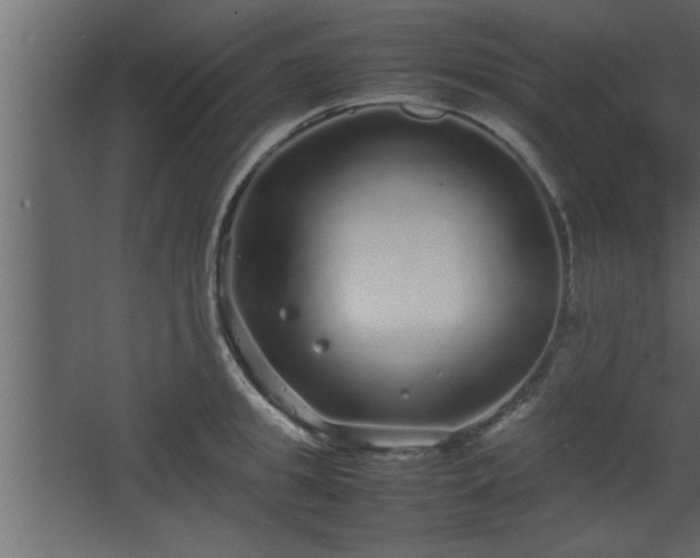 X0000067910949200604201401