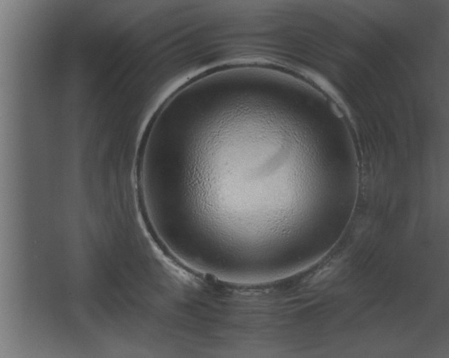 X0000067910951200604201401