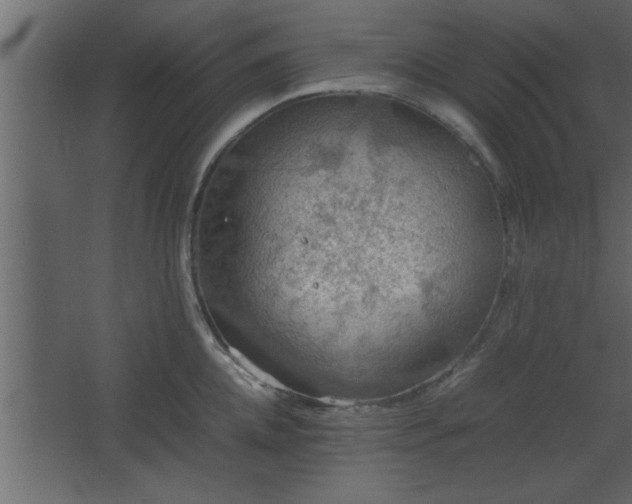 X0000067910952200604201401