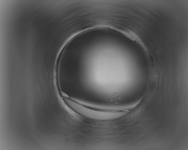 X0000067910955200604201401